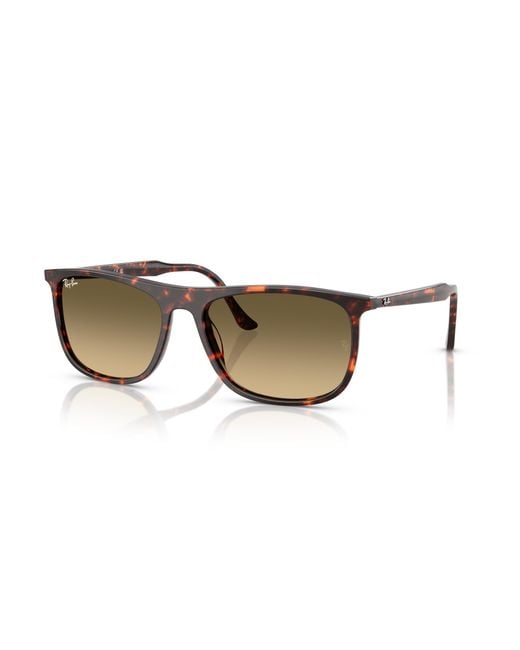 Ray-Ban Black Rb2216 Sunglasses Frame Brown Lenses