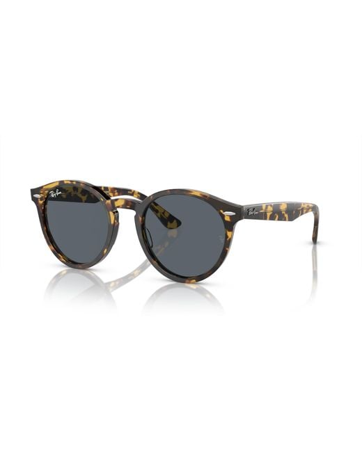 Ray-Ban Black Larry X The Ones Sunglasses Frame Blue Lenses