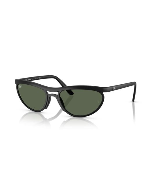 Ray-Ban Black Rb4453 Sunglasses