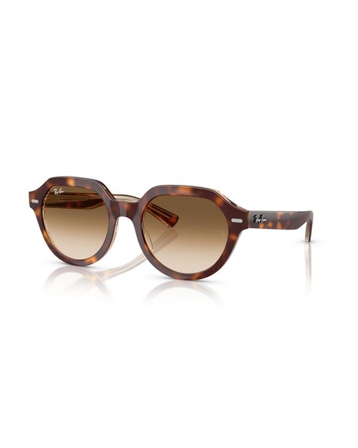 Ray-Ban Black Gina Sunglasses Frame Brown Lenses