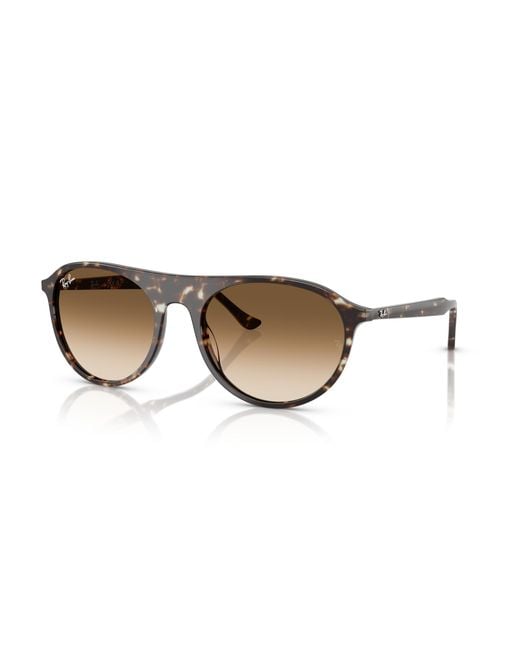 Ray-Ban Black Rb2215 Sunglasses Frame Brown Lenses