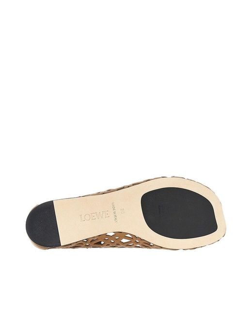 Loewe Brown 'Petal Anagram' Leather Ballet Flats