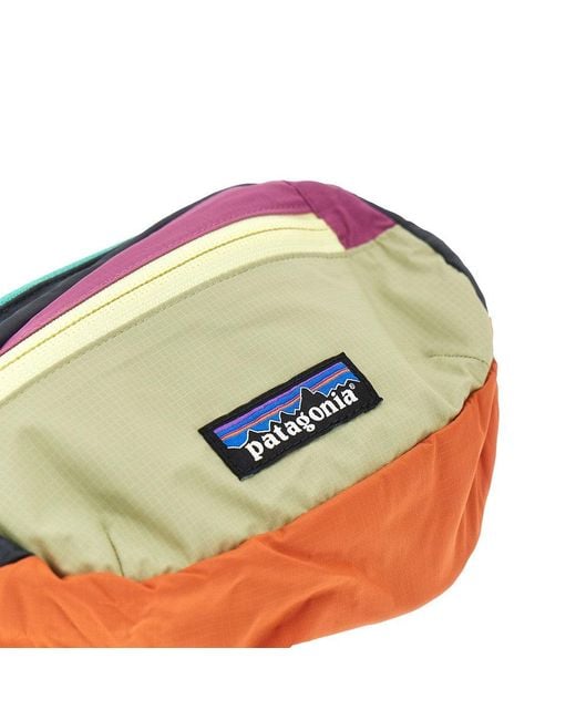 Patagonia Green Mini 'Terravia' Belt Bag for men