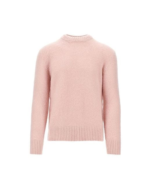Piacenza 1733 Pink Virgin Wool Sweater for men