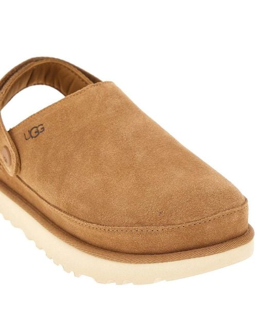 Ugg Brown Goldenstar Clogs