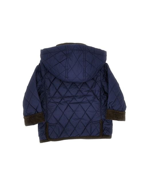Ralph Lauren Blue Padded Quilted Jacket Kids for men