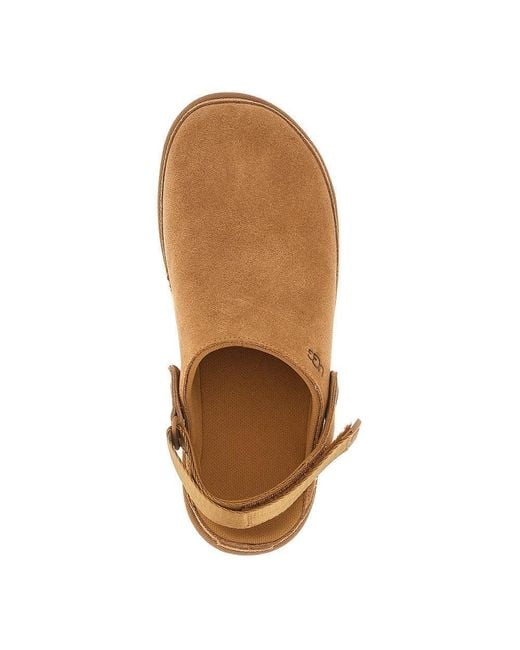 Ugg Brown Goldenstar Clogs