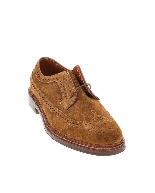 Alden Brown Suede Leather Derby Shoes for men