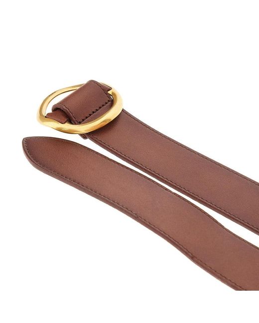 Cintura di Saint Laurent in Brown