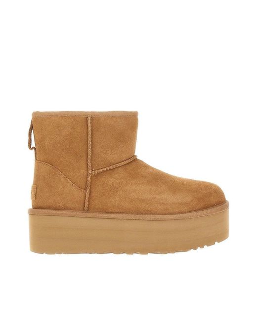 Ugg Brown Classic Mini Platform Ankle Boots