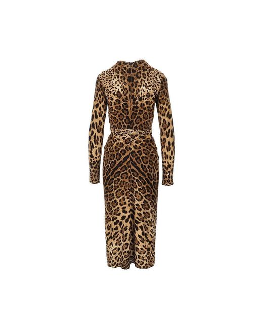 Dolce & Gabbana Brown Viscose Midi Dress With Leo Print