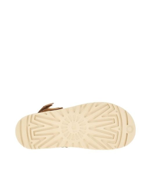 Ugg Brown Goldenstar Clogs