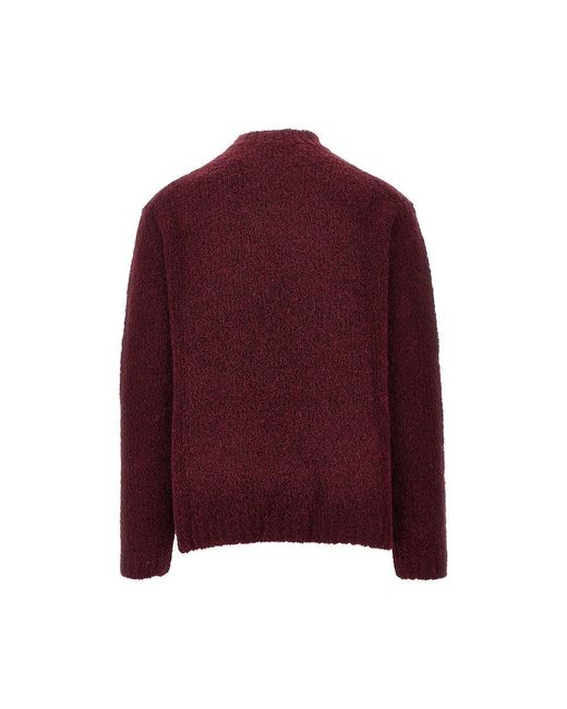Pullover Girocollo di Amaranto in Purple da Uomo