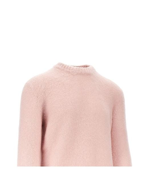 Piacenza 1733 Pink Virgin Wool Sweater for men