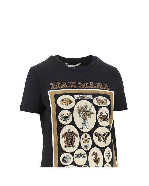 Max Mara Black T-Shirts