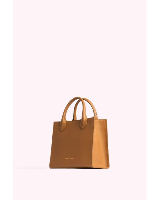 rebecca minkoff mini megan