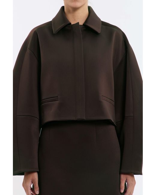 Rebecca Vallance Black Merlot Cropped Jacket