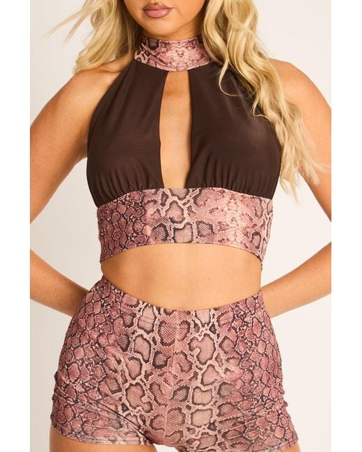 Rebellious Fashion Brown Snake Print Halter Crop Top And Shorts Co-Ord Set