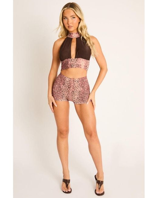 Rebellious Fashion Brown Snake Print Halter Crop Top And Shorts Co-Ord Set