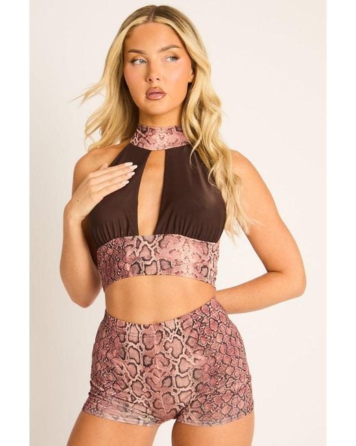 Rebellious Fashion Brown Snake Print Halter Crop Top And Shorts Co-Ord Set