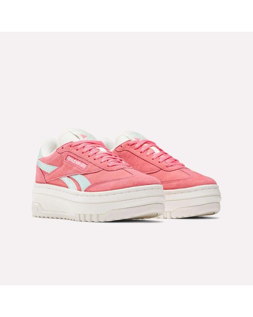 Reebok Pink Campio Extra Shoes