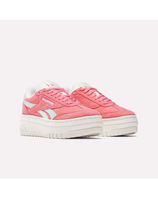 Reebok Pink Campio Extra Shoes