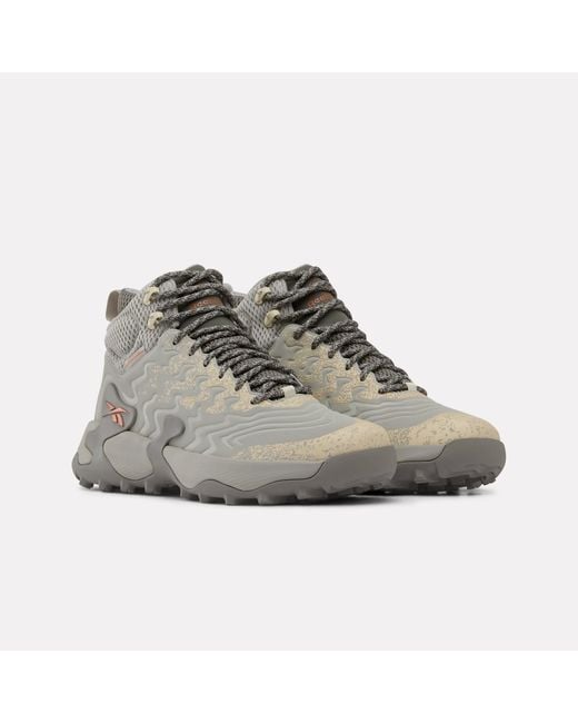 Reebok Gray Kitari Dmx Shoes for men