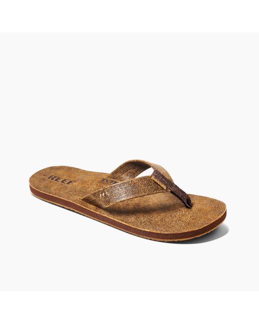 reef draftsmen brown