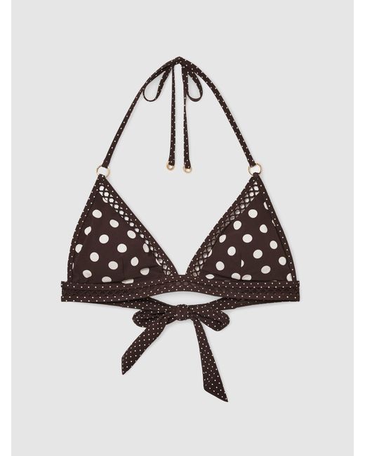 Reiss Multicolor Chocolate & Polka-Dot Triangle Bikini Top