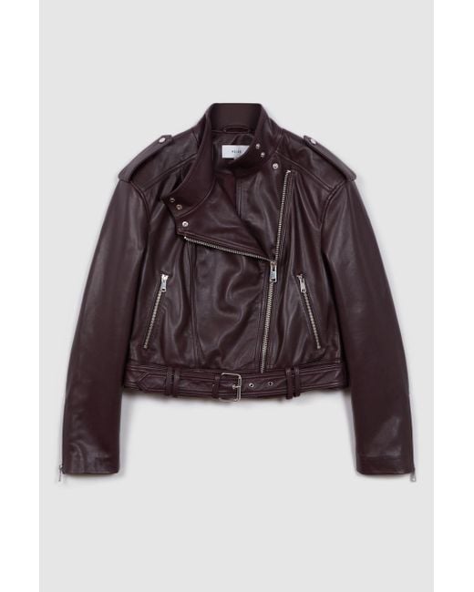 Reiss Brown Maeve - Berry Cropped Leather Biker Jacket