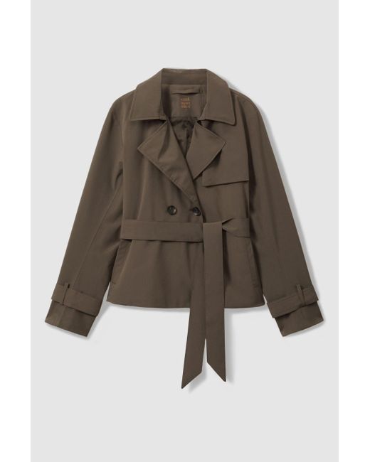 Scandinavian Edition Brown Cropped Trench Coat