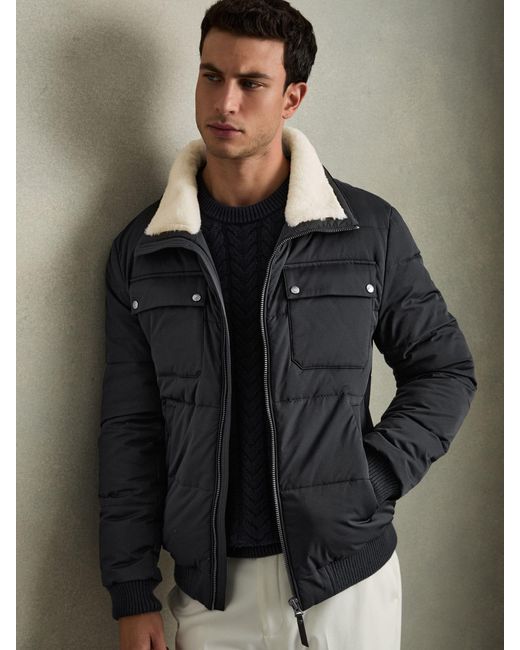 Black Faux Borg Collar Padded Jacket