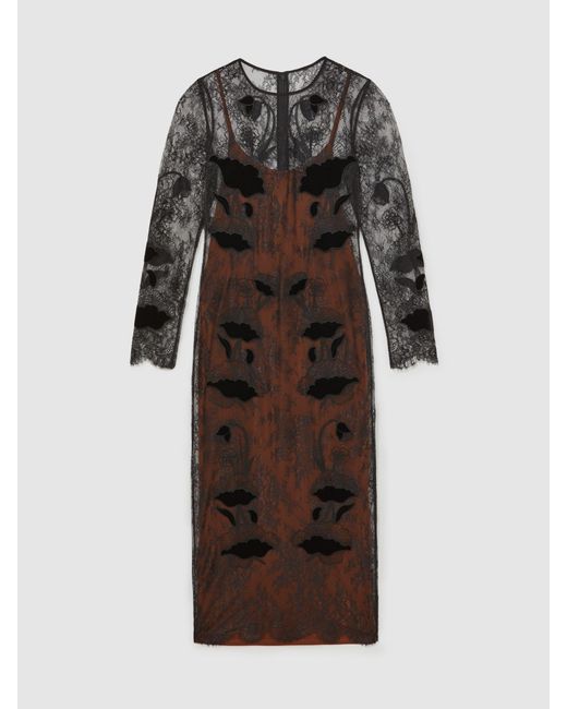 Reiss Black Lace Overlay Midi Dress