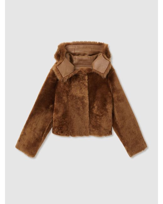 Reiss Brown Laure Jacket Leather Plain
