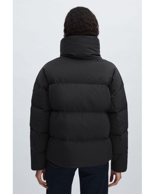 Scandinavian Edition Black Short Puffer Jacket