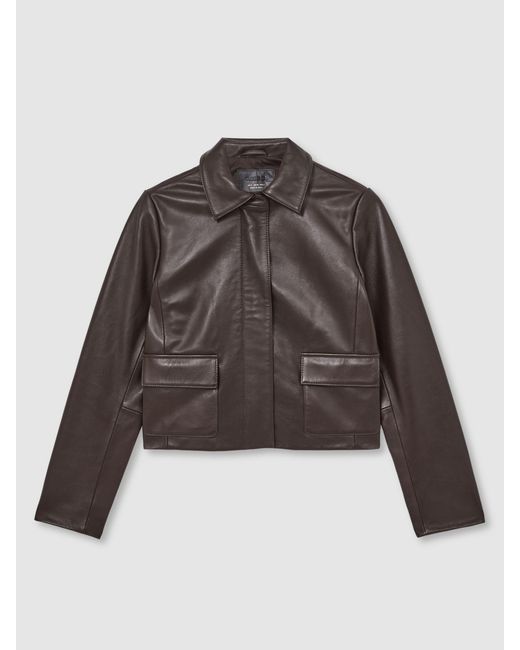 Reiss Brown Collared Leather Jacket