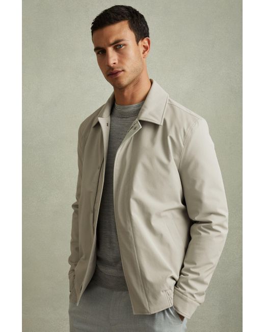 Reiss Multicolor Cologne - Stone Elasticated Hem Harrington Jacket, M for men