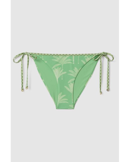 Reiss Natural Thia - Green/cream Palm Tree Print Bikini Bottoms