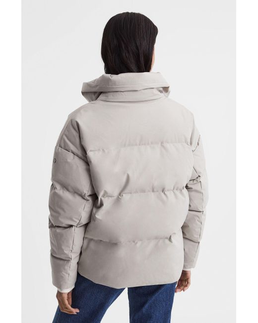 Scandinavian Edition Gray Cropped Puffer Jacket