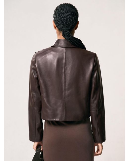 Reiss Brown Collared Leather Jacket