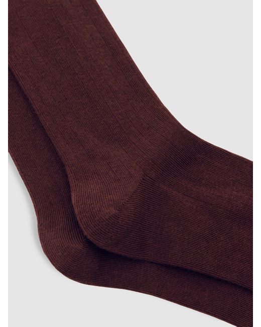 Reiss Purple Cotton Blend Ribbed Loafer Socks