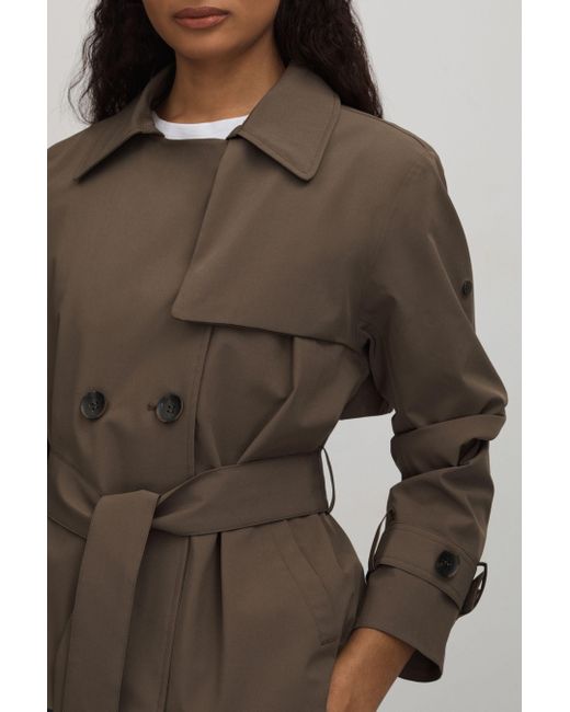 Scandinavian Edition Brown Cropped Trench Coat