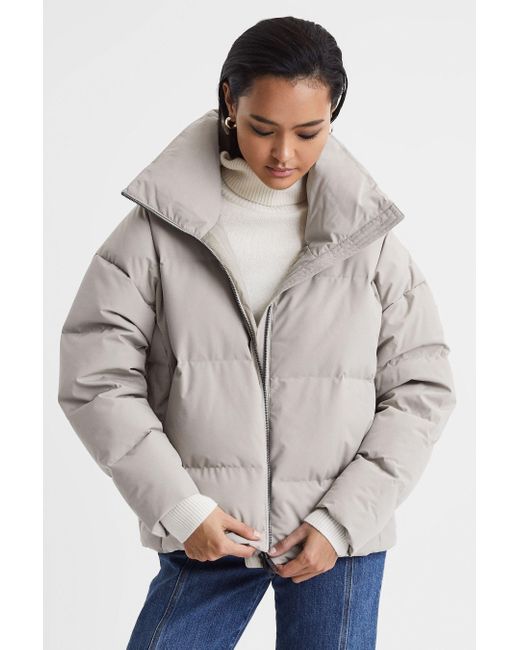 Scandinavian Edition Gray Cropped Puffer Jacket