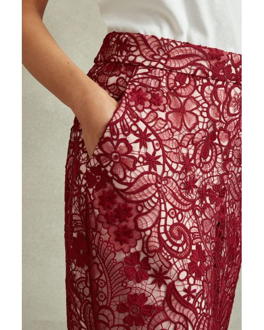 Reiss Red Flo - Burgundy Sheer Lace Midi Pencil Skirt