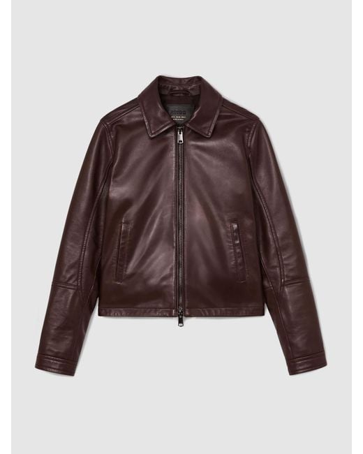 Reiss Brown Leather Zip-Through Moto Jacket