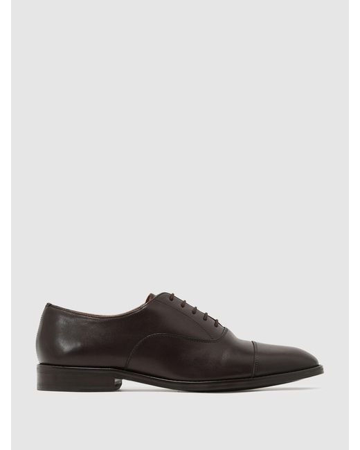 Reiss Blue Rice - Dark Brown Leather Lace Up Oxford Shoes, Us 9 (uk 8) for men