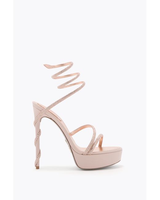 Rene Caovilla Pink Margot Blush Platform Sandal 130