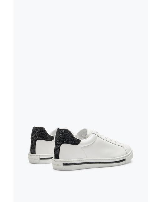 Sneaker Xtra Blanc Et Noir Avec Cristaux 15 Rene Caovilla en coloris White