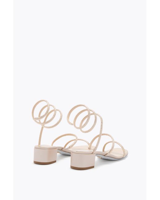 Rene Caovilla White Sandalo Cleo Oro 40