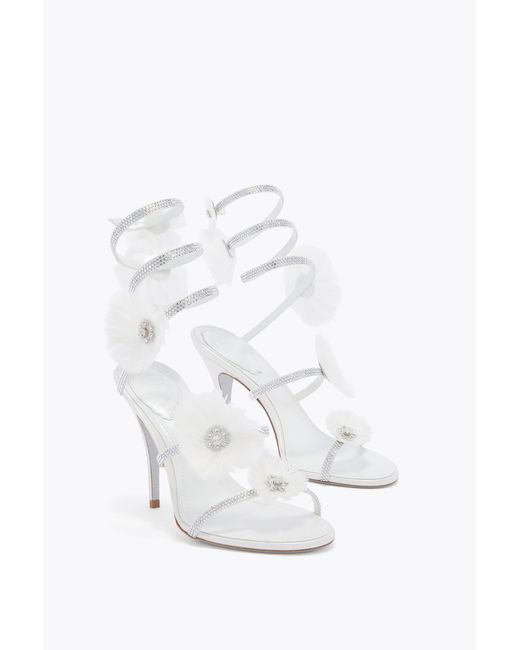 Rene Caovilla White Jolene Sandal 100